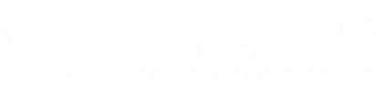 广东冠军国际车联网服务有限公司